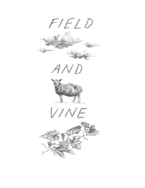 FV